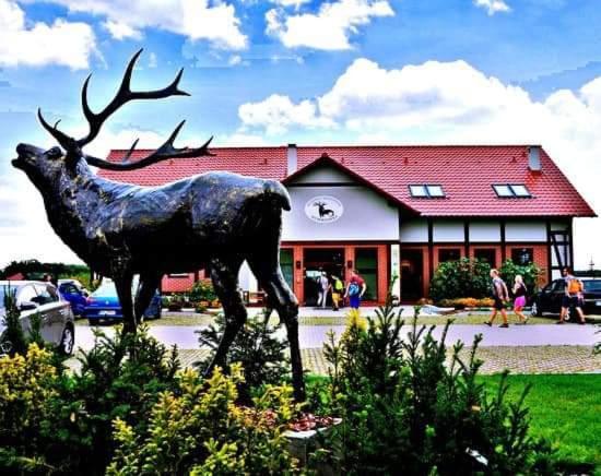 Holiday home Blisko Natury - Wypoczynkowe W Dolinie Baryczy